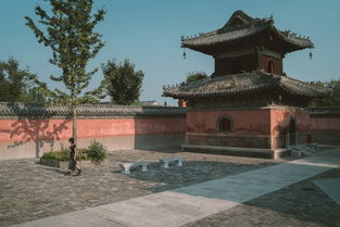 龙归故里（69集）