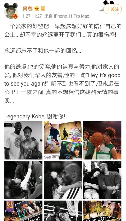 报告总裁，夫人偷生了个崽（第91集）