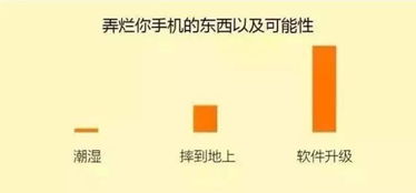 我有黄金眼，透视生活的真实面貌（84集深度解析）