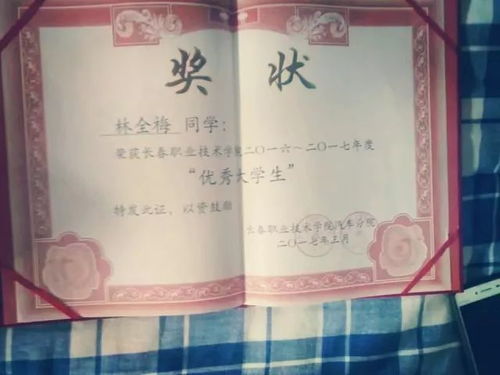 新生，岳雨婷的成长之旅（1-100集深度解析）
