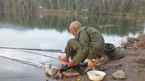 男子巧妙用树枝拨鱼上岸，一次意外的垂钓经历
