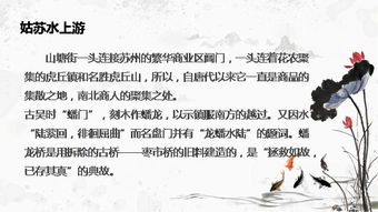 大医婿，医术、情感与时代的交融（40集深度解析）