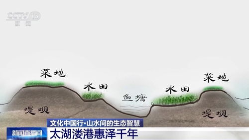 日行一善，探寻人性中的美好（91集）