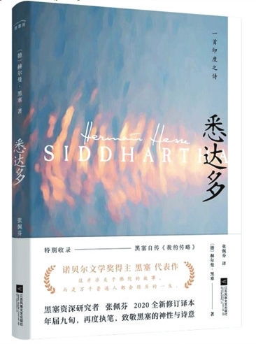 护夫十年，时光流转中的坚守与成长（71集连续剧剧情概述）