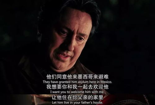焚情（79集），情感与决断的交织