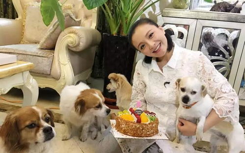 相亲乌龙之捡个奶狗当老公（30集连剧大纲）