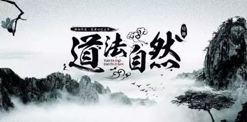 绝世齐等闲——探寻非凡的平衡之道