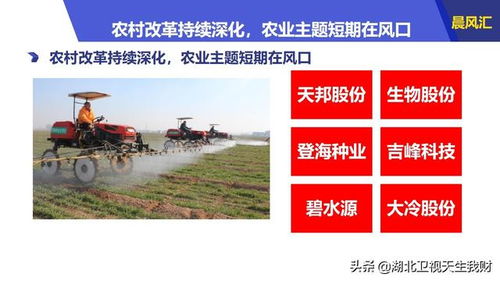 乡村潜龙，一部揭示乡村变革的壮丽史诗（76集深度解析）