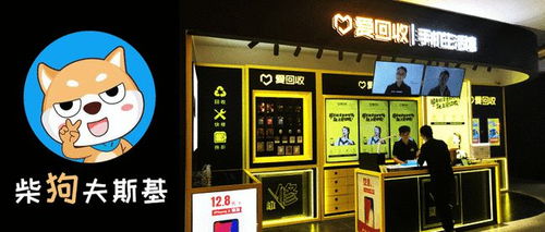 实习甜妻闹翻天（77集），都市恋爱的热血篇章