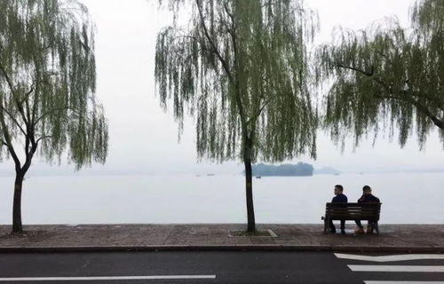 杭州大风肆虐，西湖竟成西海