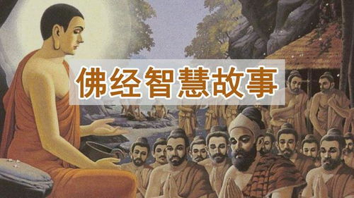 绝望主妇的反击，重塑生活的勇气与智慧