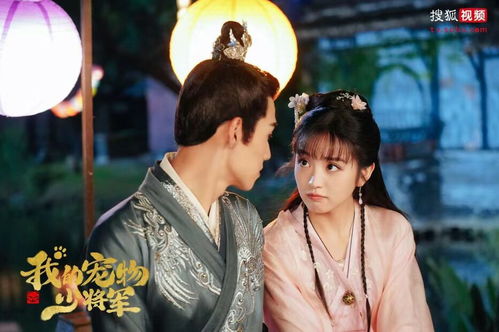 陆少追婚之夫人哪里跑（65集连播版）