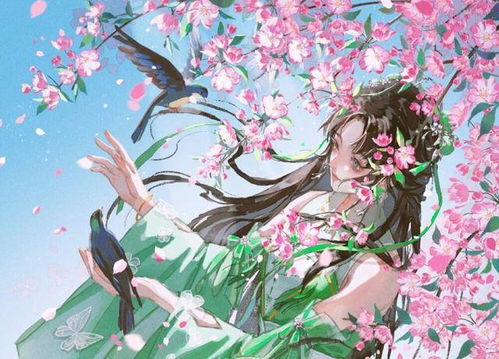 医妃有毒不好惹，宫廷纷争中的医术与智慧（100集深度解析）