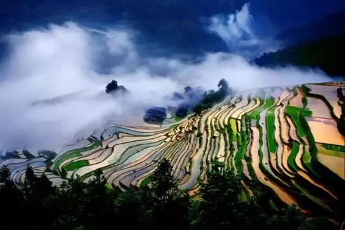 登仙（92集），探寻仙境之旅的奥秘与魅力