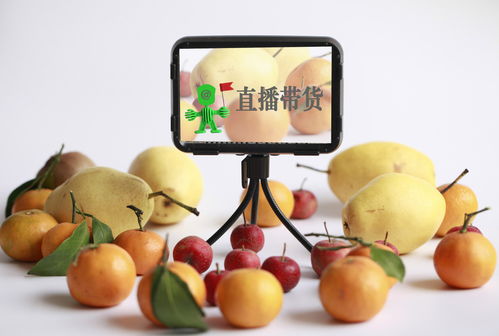 慕总夫人带娃跑