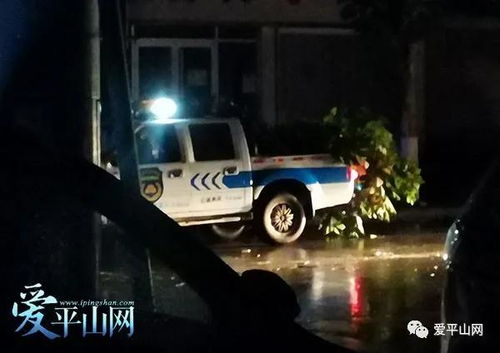 风雨中的暖心援助，女子遇困境，外卖小哥展英勇
