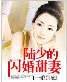 一夜惊喜，陆总的闪婚甜妻