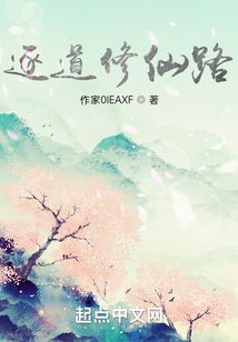 我要当赘婿，逐梦之路与自我价值的探寻