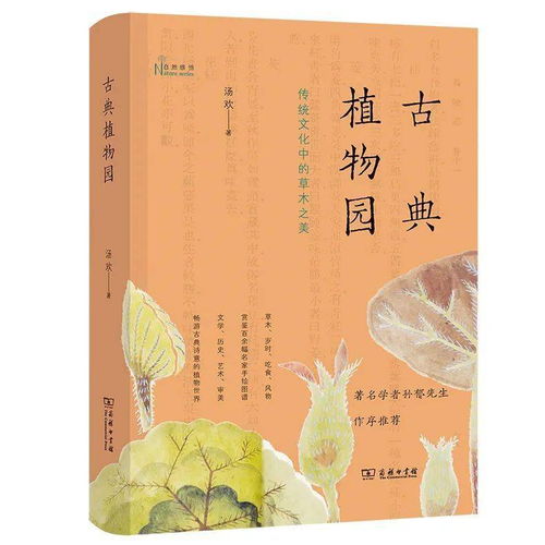 去有你的地方，一部充满情感与成长的74集暖心之作