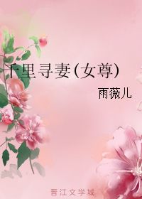 小宝寻妻记（一），千里追寻，真情至上