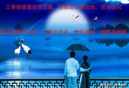 千亿双宝，爹地快追，妈咪的马甲藏不住了（100集连续剧深度解析）
