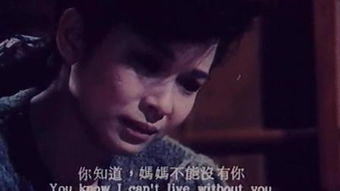 妈妈，再爱我一次（88集）