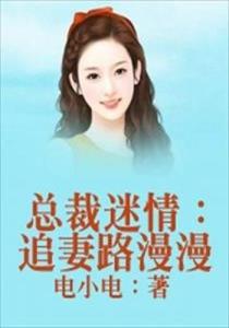 婚情漫漫，律师老婆拒离婚——林清的挑战与抉择（一）