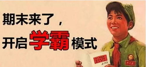 时光倒流，重回1983，嫁入糙汉的世界（81集深度解析）