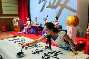 小范大人风采展现，大乾王朝的辉煌篇章（98集）