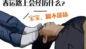 我带你回家（78集）韩琪的旅程