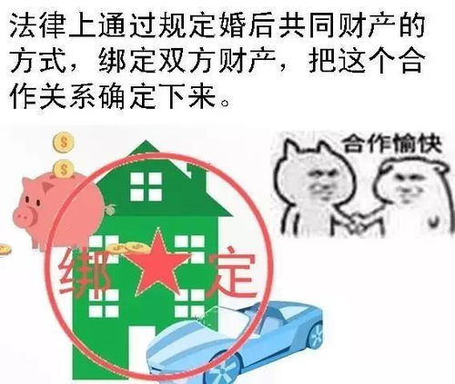 大富翁（36集），揭示财富背后的故事