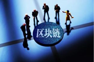 难寻，深度探索与无尽的追寻