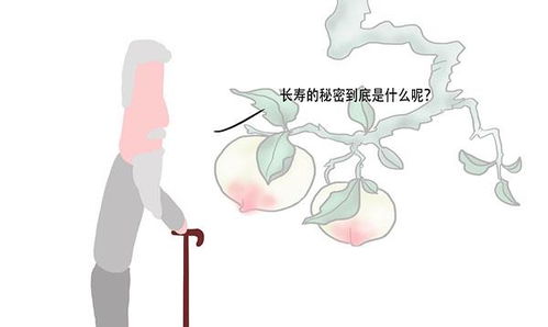 保安老公是龙首，一段深藏不露的情感与力量的故事（第101集终章）