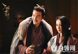 神医霸婿，传奇医术与不凡人生