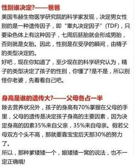 妻子的绝地反击，家庭纷争中的勇气与智慧（100集剧情大纲）
