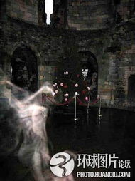 异世界探案，揭开神秘面纱的四十集旅程