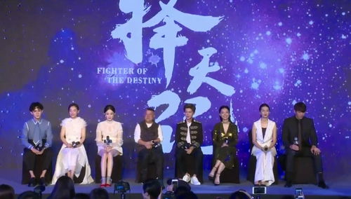 影帝的公主，演绎璀璨星途的100集绚烂篇章