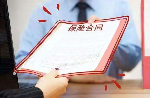 律师解读，一起婚礼闹剧中的男女行为是否违法