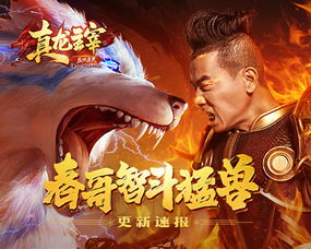 龙府帝尊，权力之巅的传奇人生