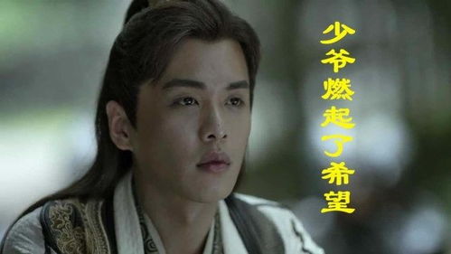 帝师龙婿，权力与荣耀的交织