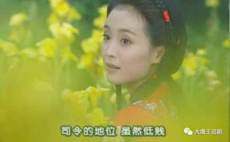 情深深泪濛濛，人间情感的细腻描绘