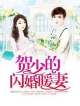 闪婚老公九块九，现代都市婚恋的另类解读（50集深度解析）