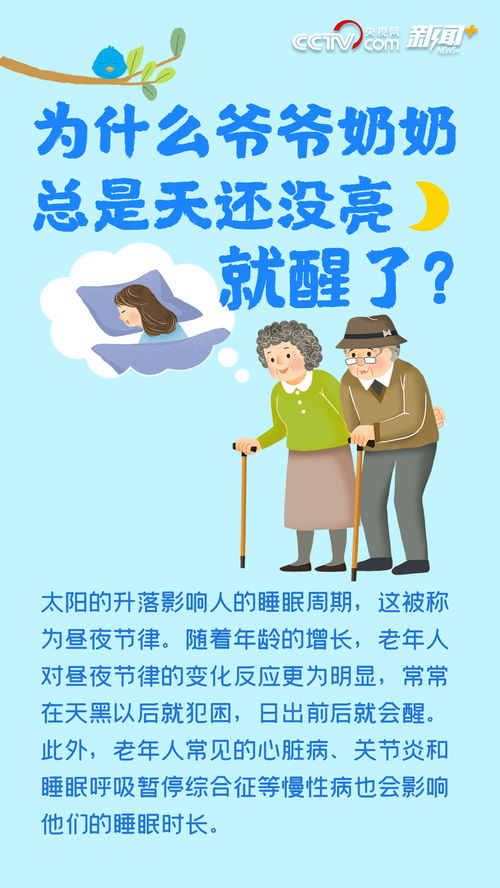 给二妈请安长篇合集，情感的交织与生活的点滴