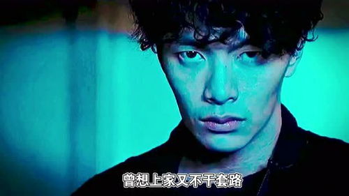 我的巅峰人生（97集）