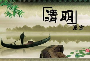 以我深情祭岁月，时光中的88个故事