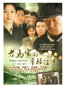 宫先生家的四宝与抄家风云（82集连续剧剧情概述）