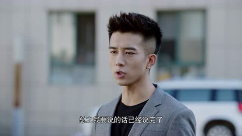 霸道少爷爱上我（电视剧）