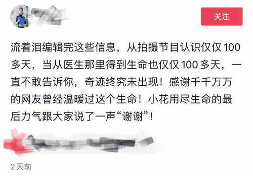 生命的坚韧与脆弱，纪念36岁抗癌网红玲宝的离世