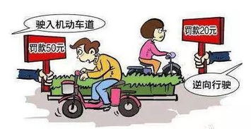 交警拉扯电动车驾驶员致两人摔倒，事件背后的深思