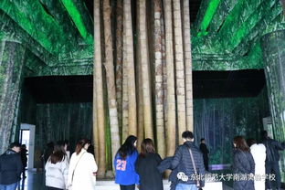 升堂见母（63集），探寻深层的情感与成长之路
